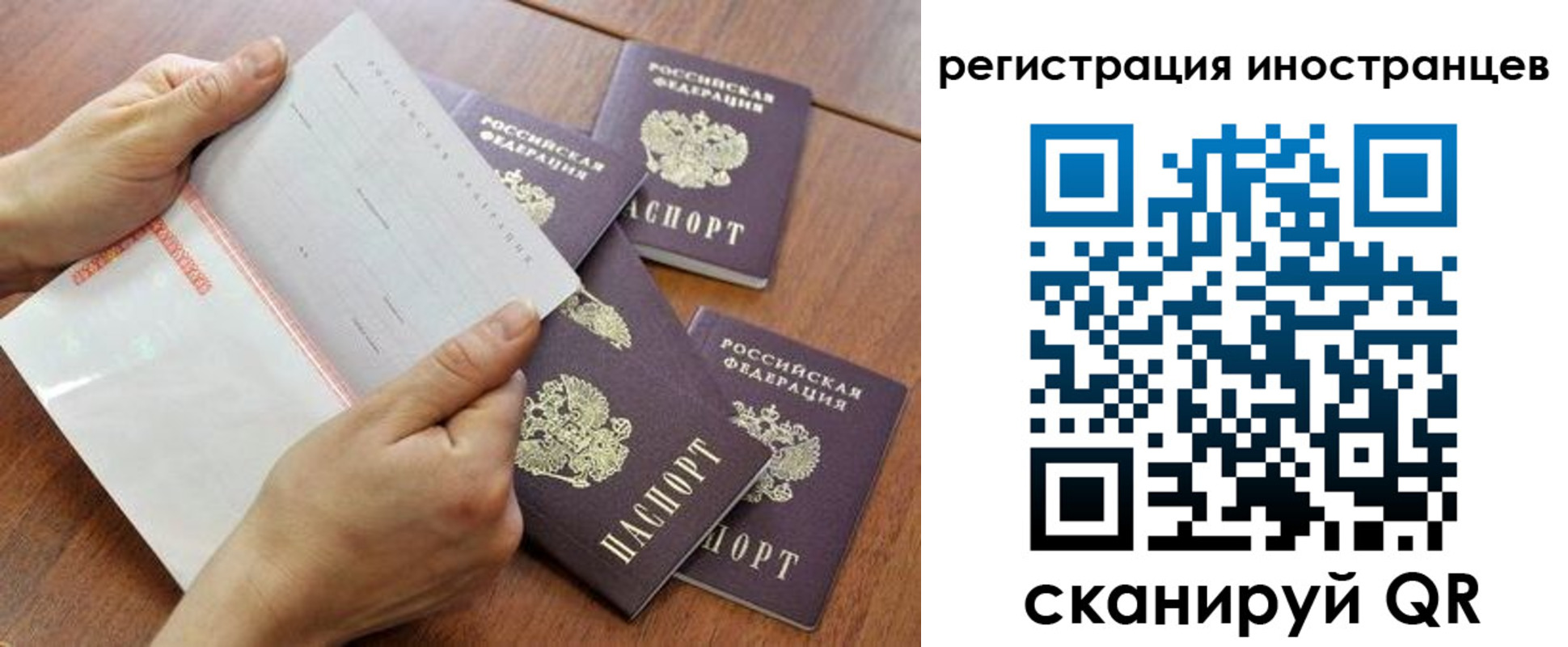 прописка поиск в Зеленоградске